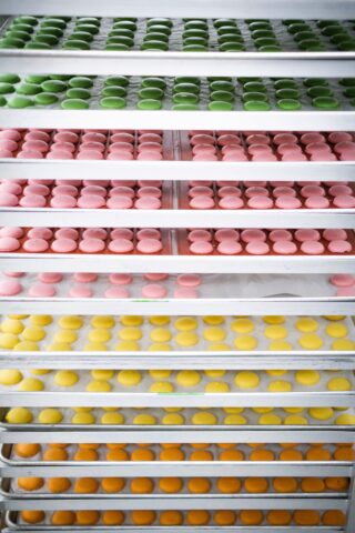 A vibrant assortment of macarons neatly arranged in a refrigerator.